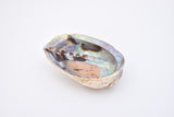 Abalone Seashell Smudging Bowl Incense Holder